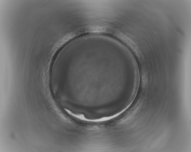 X0000111020721200907171854