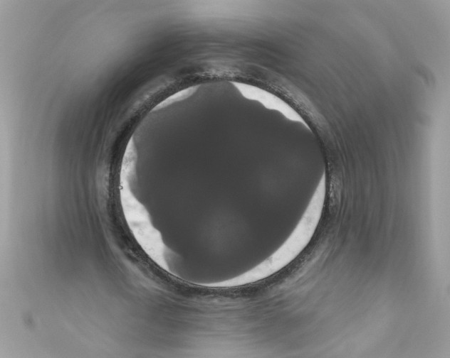 X0000111020722200907171854