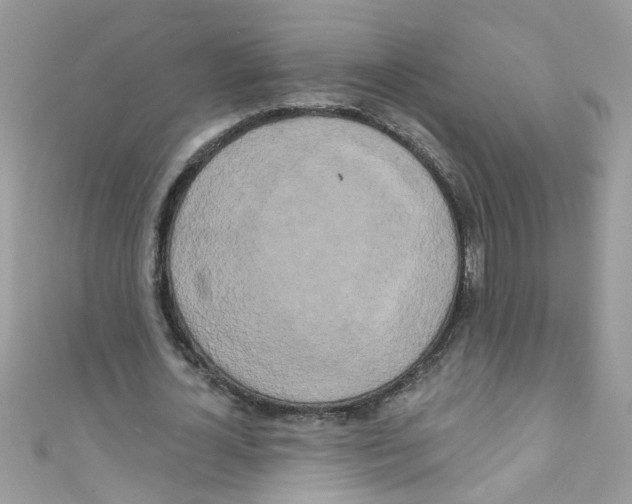 X0000111020724200907171854