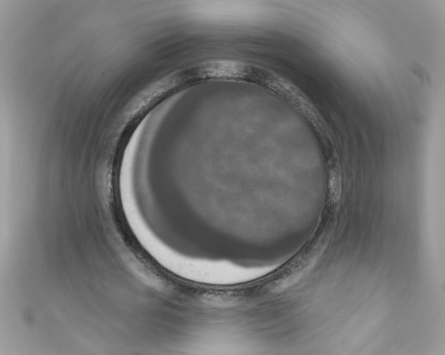 X0000111020725200907171854