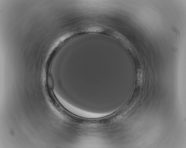 X0000111020726200907171854