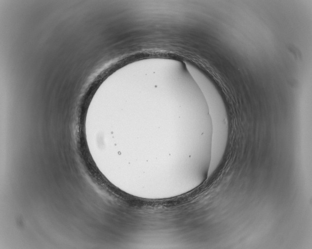 X0000111020728200907171854