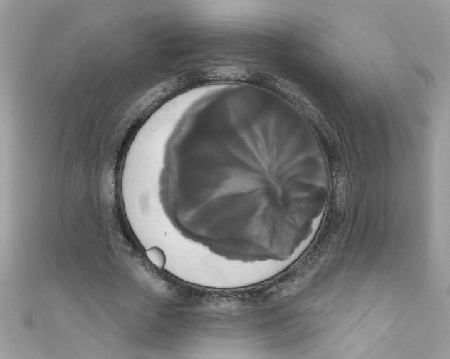 X0000111020729200907171854