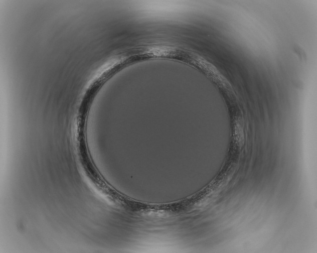 X0000111020730200907171854