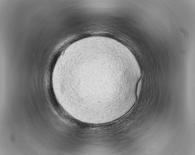 X0000111020732200907171854