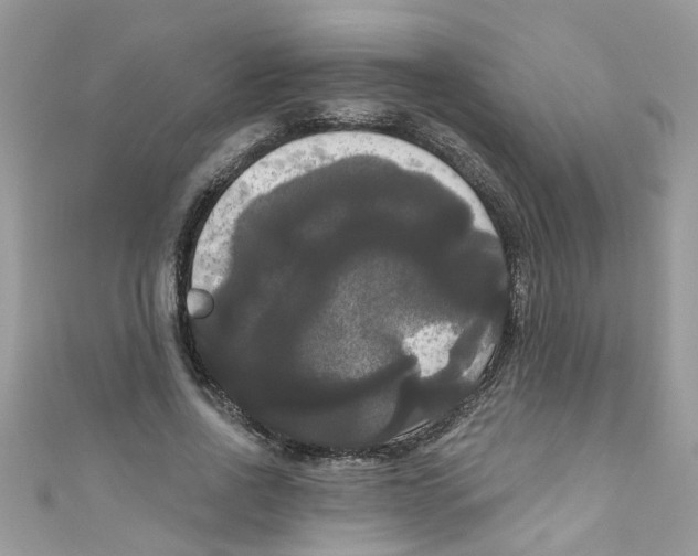 X0000111020734200907171854