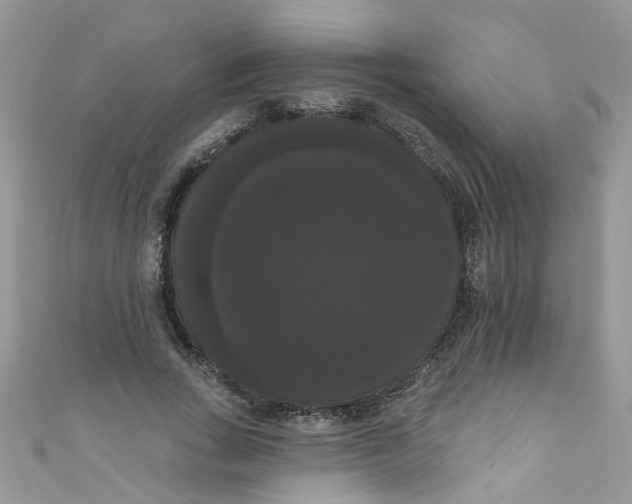 X0000111020735200907171854
