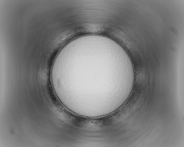 X0000111020736200907171854