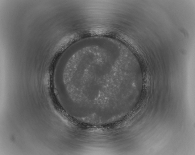 X0000111020738200907171854
