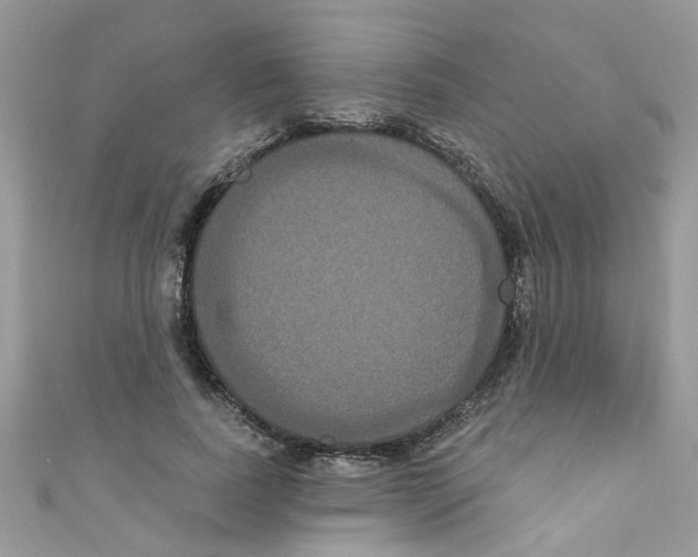 X0000111020739200907171855
