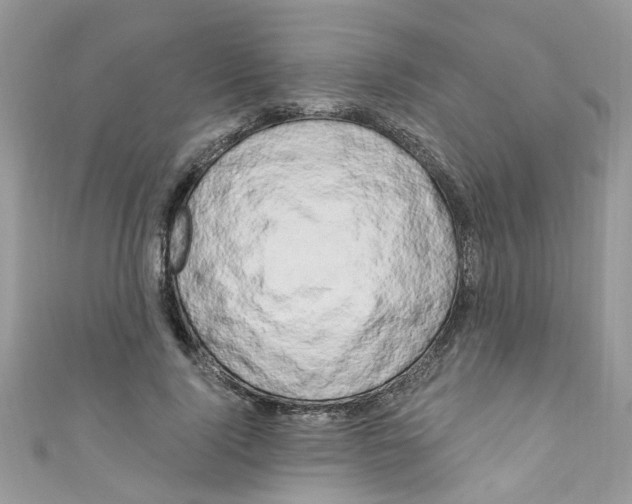 X0000111020740200907171855