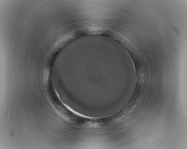 X0000111020742200907171855