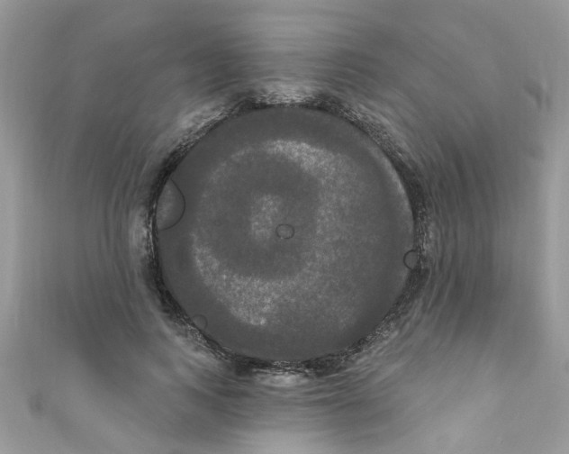 X0000111020743200907171855