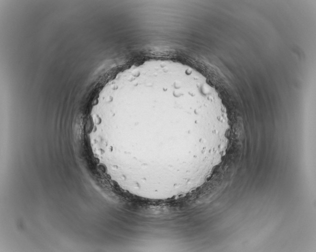 X0000111020744200907171855