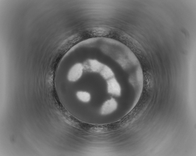 X0000111020745200907171855