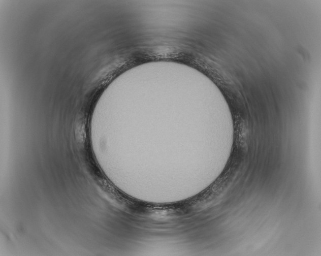 X0000111020746200907171855