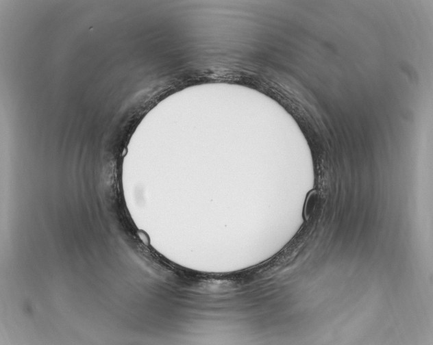X0000111020748200907171855