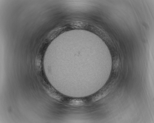 X0000111020749200907171855