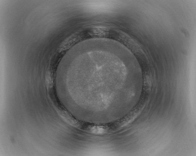 X0000111020751200907171855