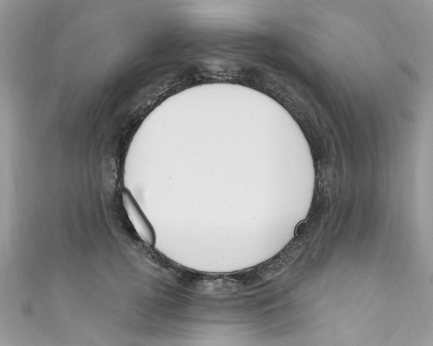 X0000111020752200907171855
