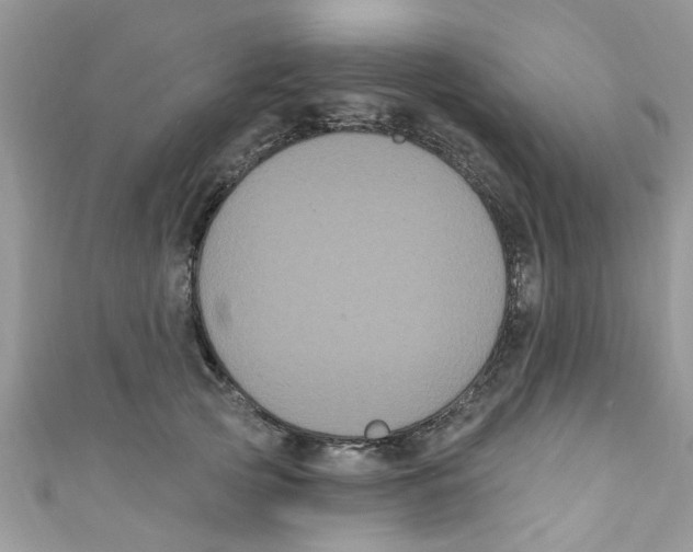 X0000111020753200907171855