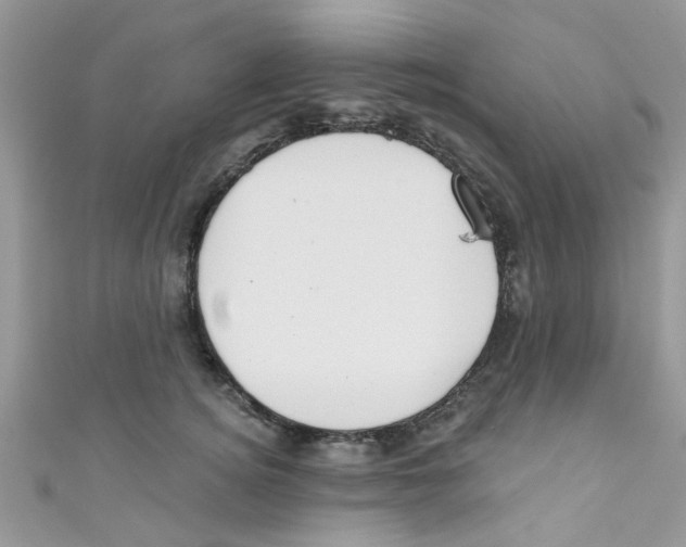 X0000111020756200907171855