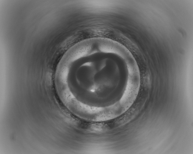 X0000111020757200907171855