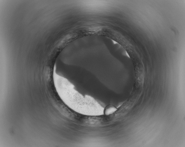 X0000111020758200907171855
