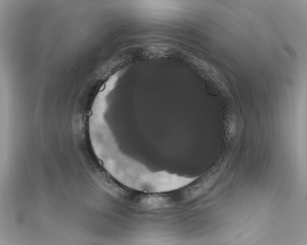 X0000111020759200907171855