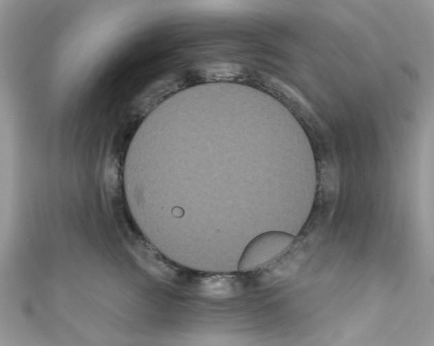 X0000111020761200907171855