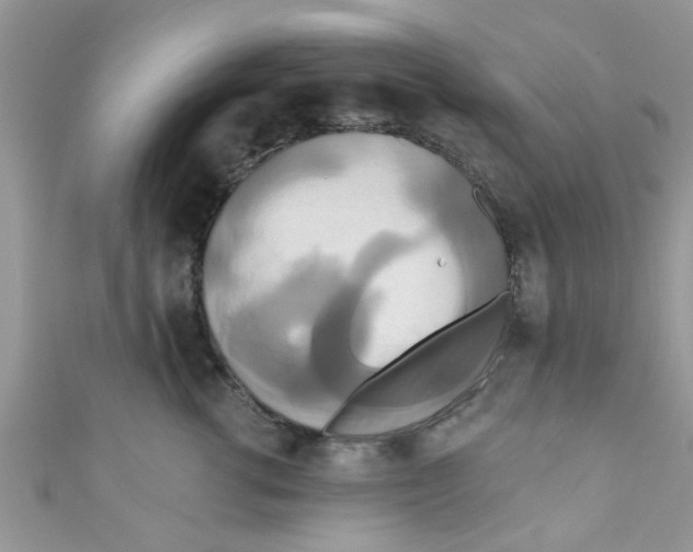 X0000111020762200907171855
