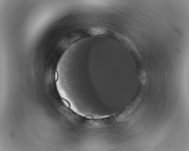 X0000111020763200907171855