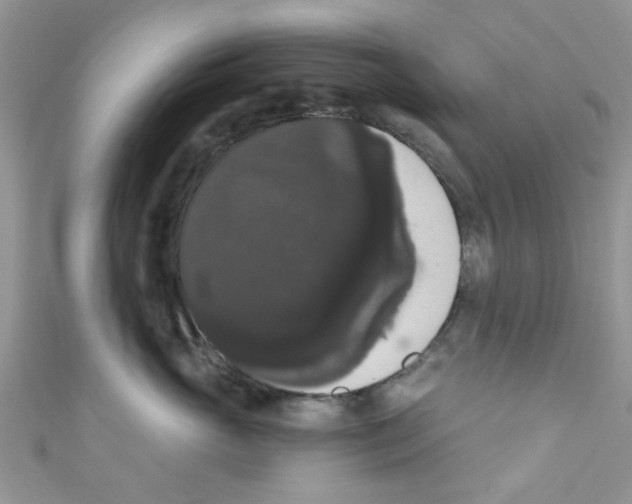 X0000111020765200907171855