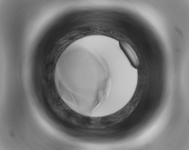 X0000111020766200907171855