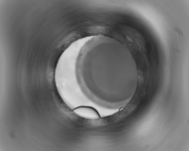 X0000111020767200907171855