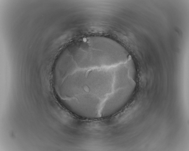 X0000111020769200907171854