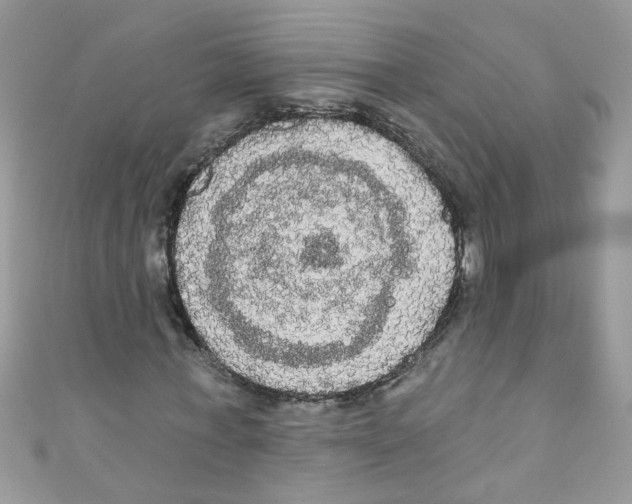 X0000111020771200907171854
