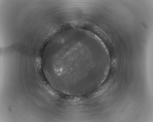 X0000111020772200907171854