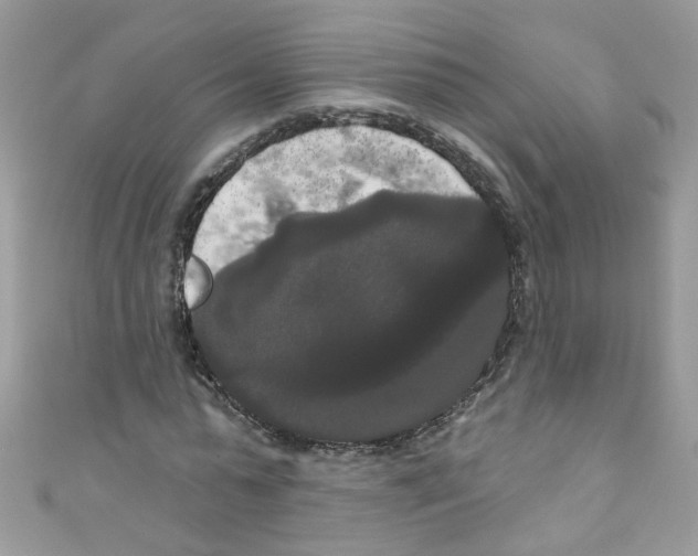 X0000111020775200907171854