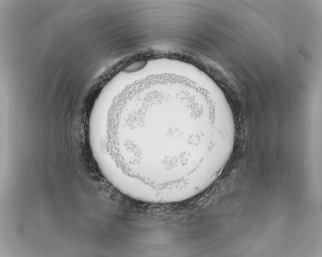 X0000111020776200907171854