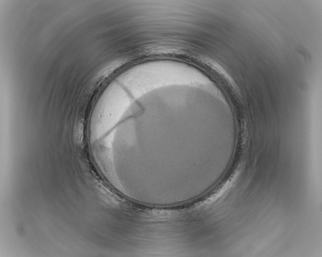 X0000111020777200907171854