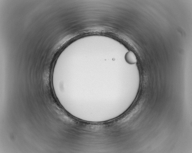 X0000111020778200907171854