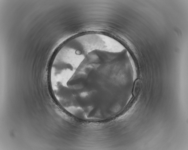 X0000111020779200907171854