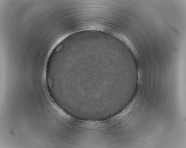 X0000111020780200907171854
