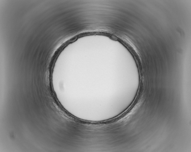 X0000111020781200907171854