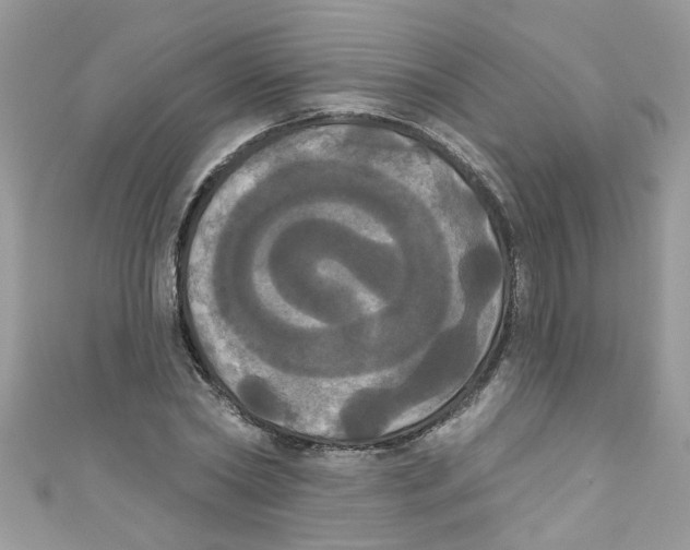 X0000111020782200907171854
