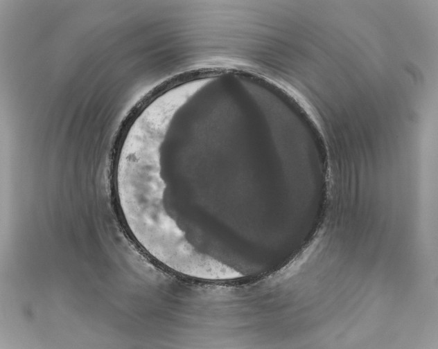 X0000111020783200907171854