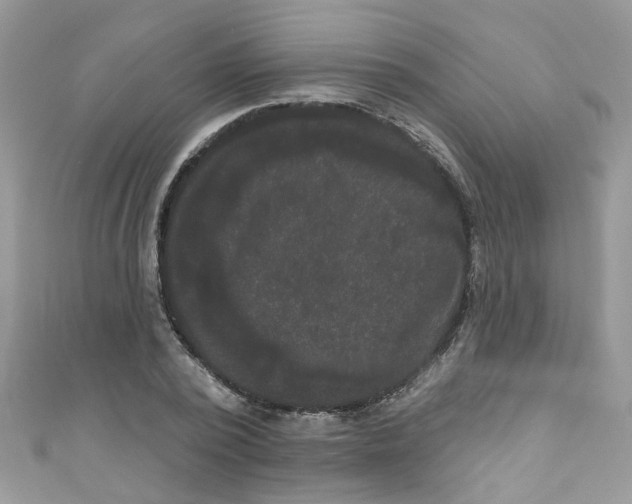 X0000111020784200907171854