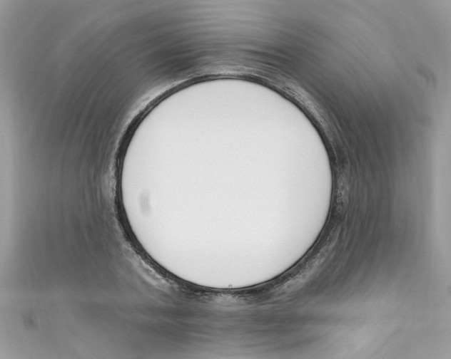 X0000111020787200907171854