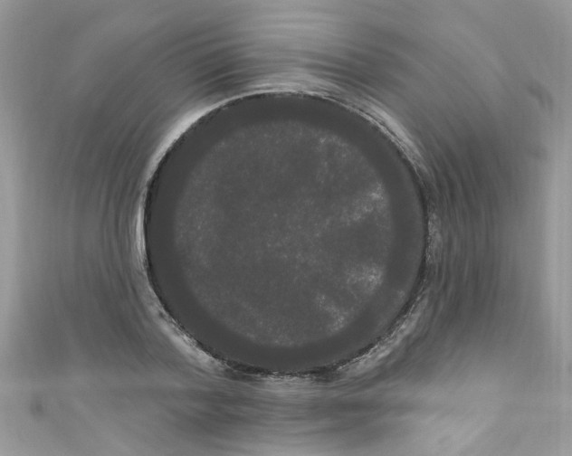 X0000111020788200907171854
